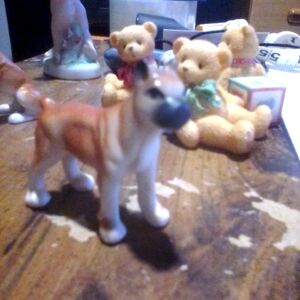 Boxer dog miniature (2)